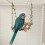 5 Pack Wood Bird Swing Chewable Bridge Toy for Parrots Parakeets Various Cages Multicolor 5