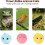 Upgraded SilverVine Catnip Chirping Balls 3 Pack Fluffy Kicker 3 Lifelike Sounds Exercise 3-Pack 2