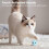 Upgraded SilverVine Catnip Chirping Balls 3 Pack Fluffy Kicker 3 Lifelike Sounds Exercise 3-Pack 3