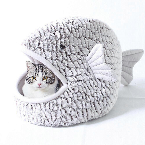 Maison pour chat Warm Winter Shark Mouth 25-26