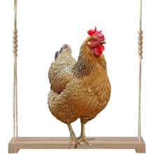 Wooden Chicken Swing Toy Perch Accessories for Coop Farm Owners and Lovers
