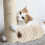 4 White Sisal Rope Rolls for Cat Tree Scratching Post Replacement 5