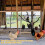 Altalena in legno per galline, accessorio per pollai e allevatori. 5