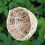Bamboo Handwoven Small Bird Nest with Hanging Metal Hook for Parakeets Canaries 5