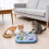 Interactive Cat Brain Training Puzzle Toy Play & Weight Management Multicolor Sifang multifuncti 5