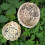 Bamboo Handwoven Small Bird Nest with Hanging Metal Hook for Parakeets Canaries 2
