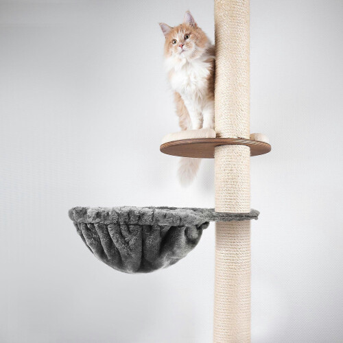 Hamac pour arbre à chat, installation facile, accessoire anti-peluches 2