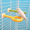 Multicolor Bird Perch Toy - Grinding Scratcher Molar Chew for Parrots Parakeets 4