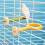 Multicolor Bird Perch Toy - Grinding Scratcher Molar Chew for Parrots Parakeets 5