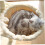 43cm Plush Spoon Shape Cat Window Hammock Washable Scratchproof Large Cat Tree Bed 4