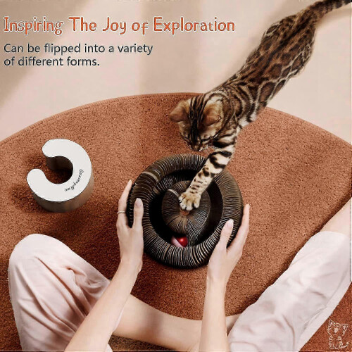 Magic Organ Interactive Cat Scratching Post Toy - Indoor Cat Mind & Body Exercise 1