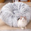 Plush Foldable Cat Tunnel Bed Comfortable & Amusing Easy Storage Multi-Color For All Cats 1 4