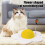 Flower Shape Sisal Interactive Cat Scratch Pad with Spring Plush Bee Furniture Guard 4