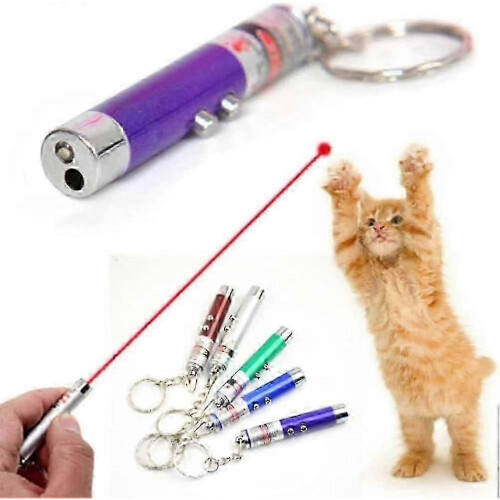 25-26 6 PCS Cat Dog Laser Toy Set Laser Pointer Mini Keychain LED Flashlight 2