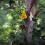 Green Sunshade Parrot Hanging Hammock Bird Nest Comfortable Pet Bed 3