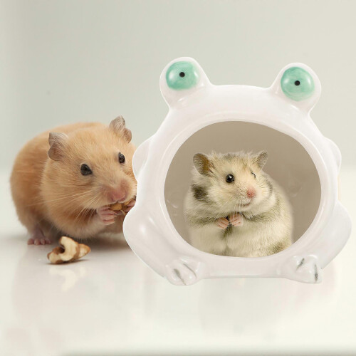 5 Pcs Ceramic Cool Hideout House for Hamsters Small Pets 1