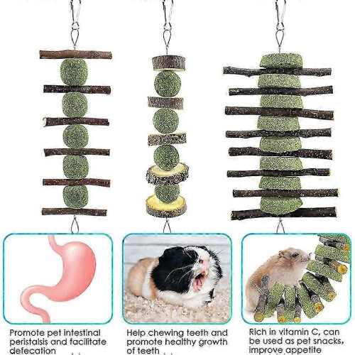 3Pcs Rabbit Hamster Bunny Chew Toys Teething Playthings for Pets 2
