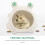 5 Pcs Ceramic Cool Hideout House for Hamsters Small Pets 5