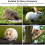8 Piece Ceramic Hamster Food Dish Set Small Pet Feeding Bowl 3