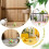 Cat Toy 6Pcs Elastic Rope Mouse Colorful Playing Props for Pets 4