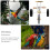1PC Funny Pet Parrot Training Toy Practical Parrot Supplies 4