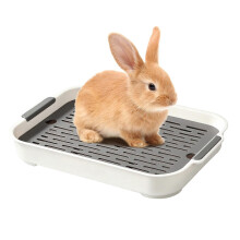 Bac à litière White Rabbit pour l'apprentissage de la propreté avec barrière anti-éclaboussures