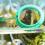 Green Floating Fish Tank Food Ring Feeder 2Pcs 4