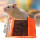 Dual-Layer Small Pet Hammock Chew-Resistant Warm Breathable for Guinea Pigs Hedgehogs 3