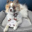 PING 4pcs Cute Plush Catnip Interactive Toys for Indoor Cat Play 5