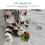 Interactive Crinkle Balls Cat Toy 10 Pcs for Kitten Indoor Fun 5