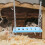 5pcs PVC Hamster Hideout House Colorful Toy Set 5