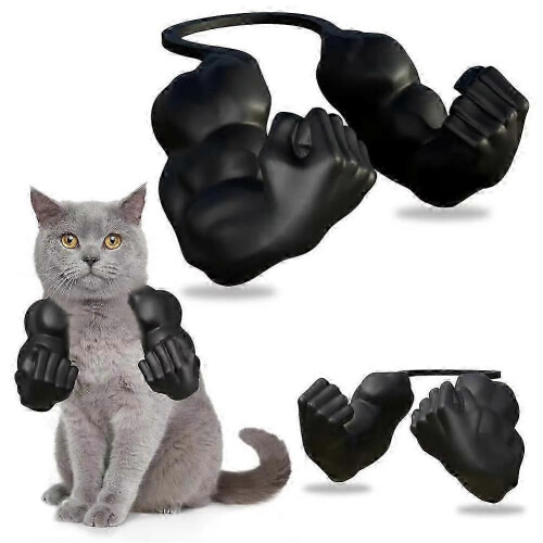 Accessoire de cosplay pour chat (bras et cou) imprimé en 3D, vert, conforme à la description. 2