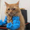 Accessoire de cosplay pour chat (bras et cou) imprimé en 3D, vert, conforme à la description. 4