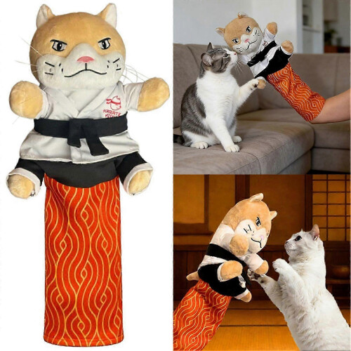 Interactive Soft Cat Wrestling Glove Puppet - Safe Kitty Karate Hand Toy 1