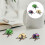 Educational 3 Pack Realistic Beetle Wind-Up Toys Plastic Assorted Colors 5