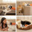 Interactive Soft Cat Wrestling Glove Puppet - Safe Kitty Karate Hand Toy 4