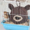 Cute Winter Warm Sleeping Bed Cage for Hamster Chinchillas Small Pets 4