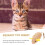 2Pcs Interactive Plush Catnip Mouse Toy for Indoor Kitten Playing 5
