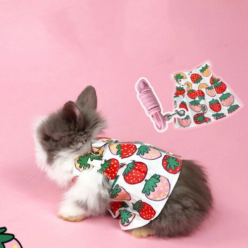 Rabbit Harness and Leash with Dress for Junior Guinea Pig 1