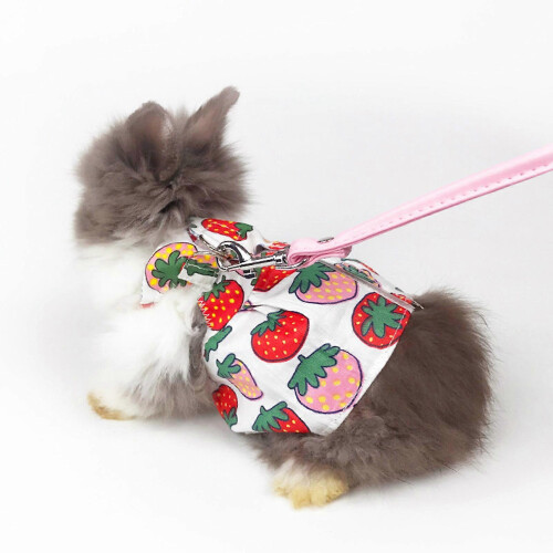 Rabbit Harness and Leash with Dress for Junior Guinea Pig 2