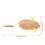 2Pcs Interactive Plush Catnip Mouse Toy for Indoor Kitten Playing 2