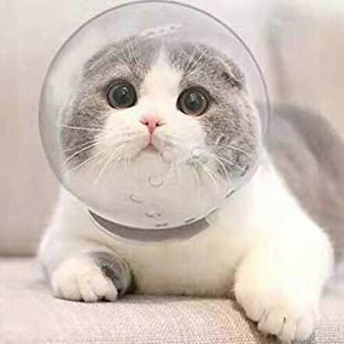 Anti-Bite Space Breathable Cat Helmet Cover 1