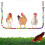 Handmade Wood Chicken Perch Swing Toy for Hens 1
