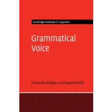 Grammatical Voice by Fernando Ziga Hardcover Book