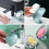 Suction Cup Soap Dish Shower Holder, Plastic Drain Tray, Easy Clean, Bathroom Accessory 4