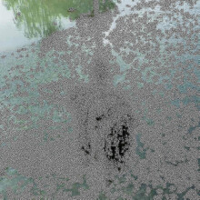 Klappbarer Unkrautstecher aus Edelstahl, Unkrautentfernungswerkzeug für Wasserpflanzen, Grasschneider zum Entfernen von Wasserpflanzen