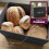 Large Grey Bread Bin For Kitchen Vintage Retro Metal Tin and Container with Lid 5