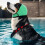 Waterproof Dog Ear Caps for Swimming Bathing Calming 4