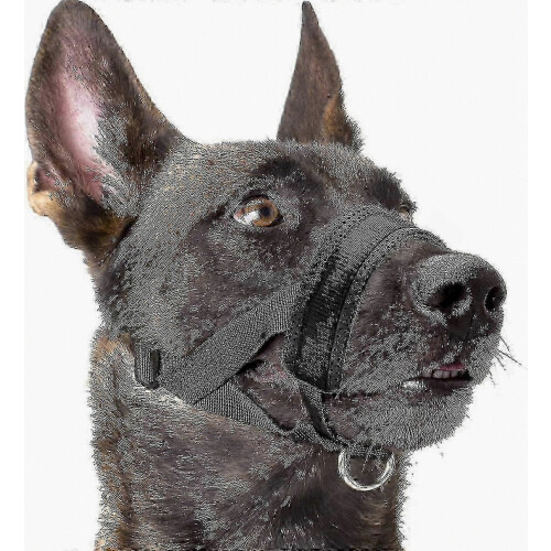 Adjustable Dog Muzzle With Soft Padding for Anti-Biting, Barking, and Chewing Prevention
