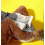 Electronic Interactive Flapping Sparrow Hanging Cat Toy 5
